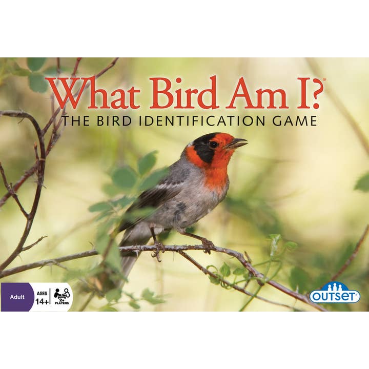 Outset Games and Cobble Hill Puzzles - Wholesale Board Game - What Bird Am I? Game - The Ultimate Birding Challenge