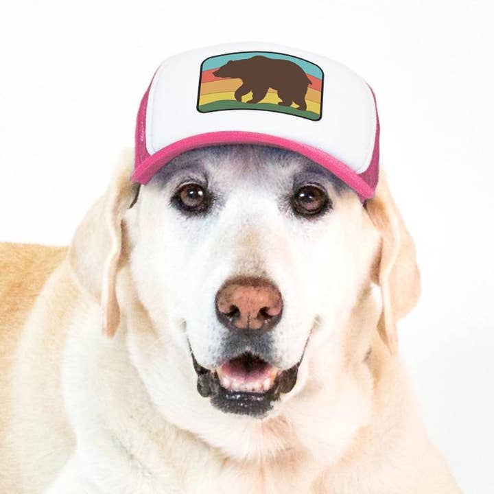 PupLid - Wholesale Hoed voor honden - Hond - Bear Standard of Namedrop | Truckerpet voor honden12