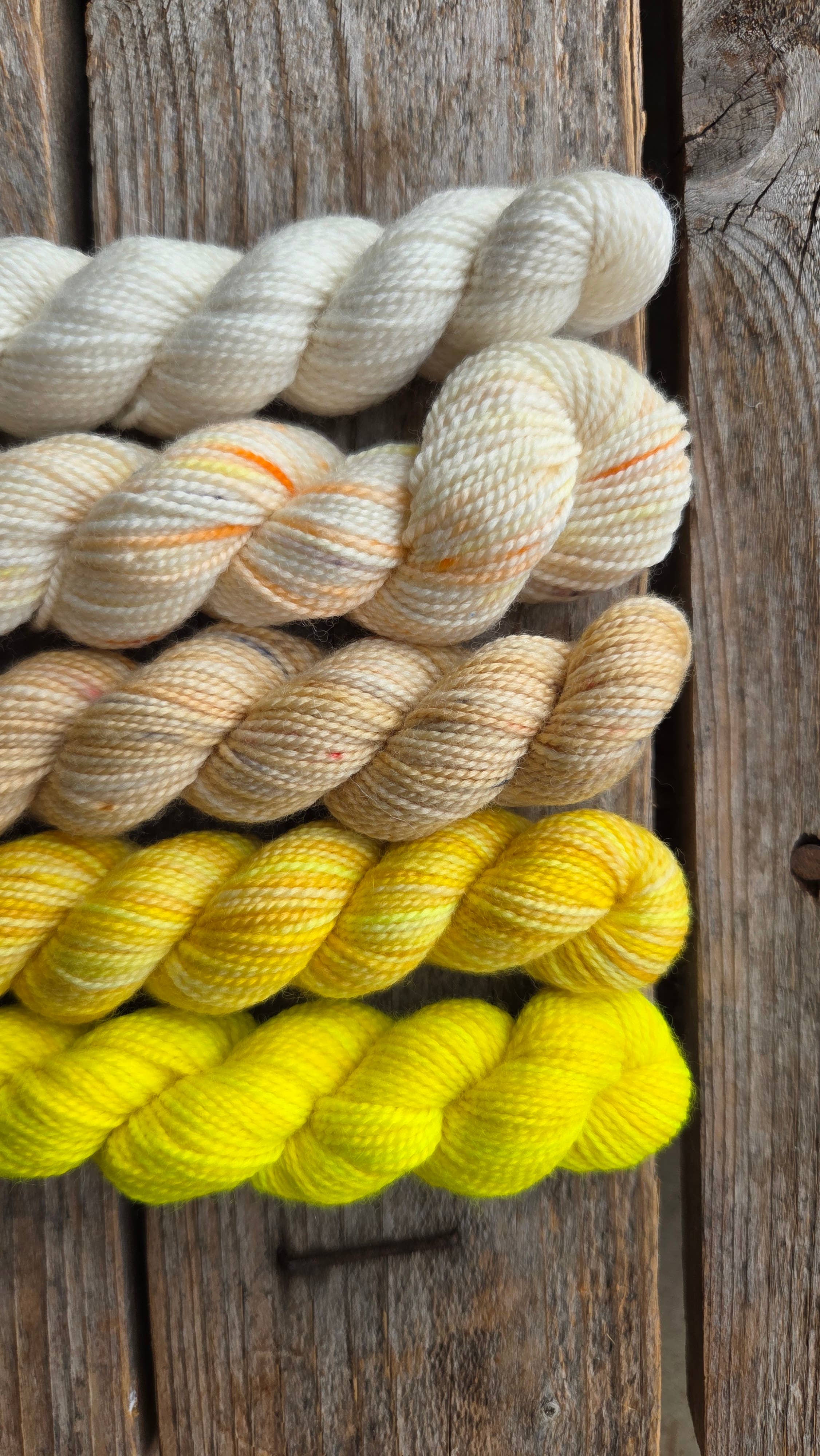 Koigu Wool Designs - Vente Fils à tricoter - Boîtes de Peinture de Fleurs Provinciales (ensembles de mini-écheveaux)3