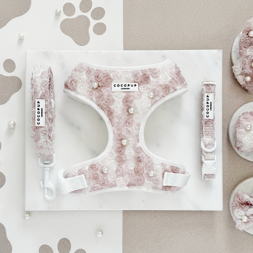 Cocopup London - Wholesale Tuig voor huisdieren - Hond - Cocopup London Pearly Pup verstelbare halsband voor honden3