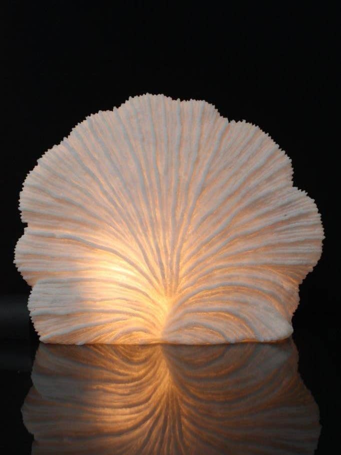 Small Striped Fan Coral Lamp, 15.5" for wholesale by The Light Garden Collection