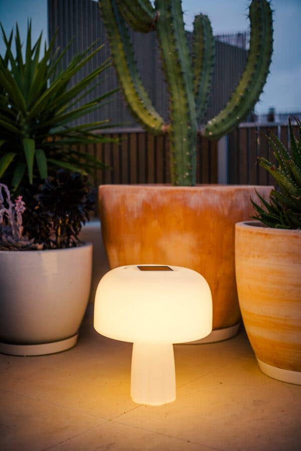 Goodnight Light - Wholesale Accent/Desk Lamp - The Boleti Lamp - Solar powered, portable lamp2