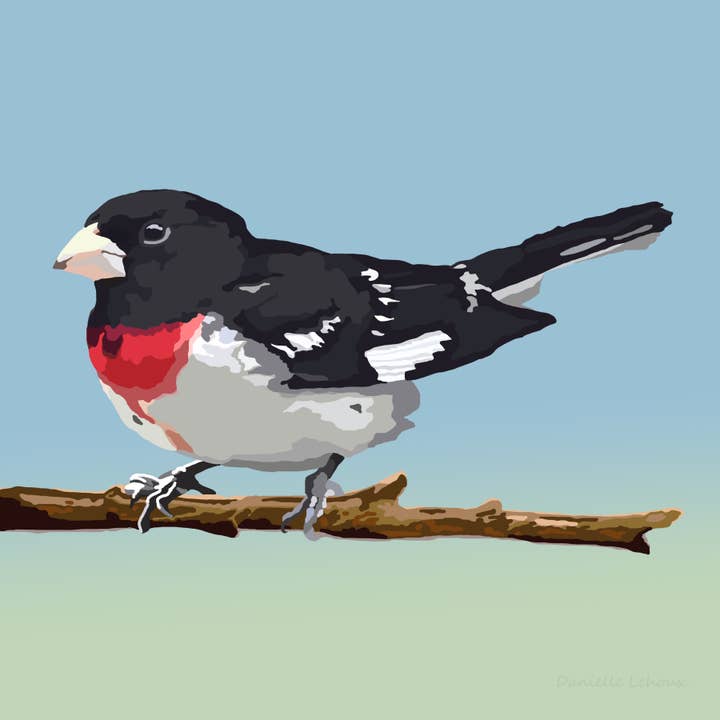 Impression de Cardinal à poitrine rose pour la vente par Lehoux Art