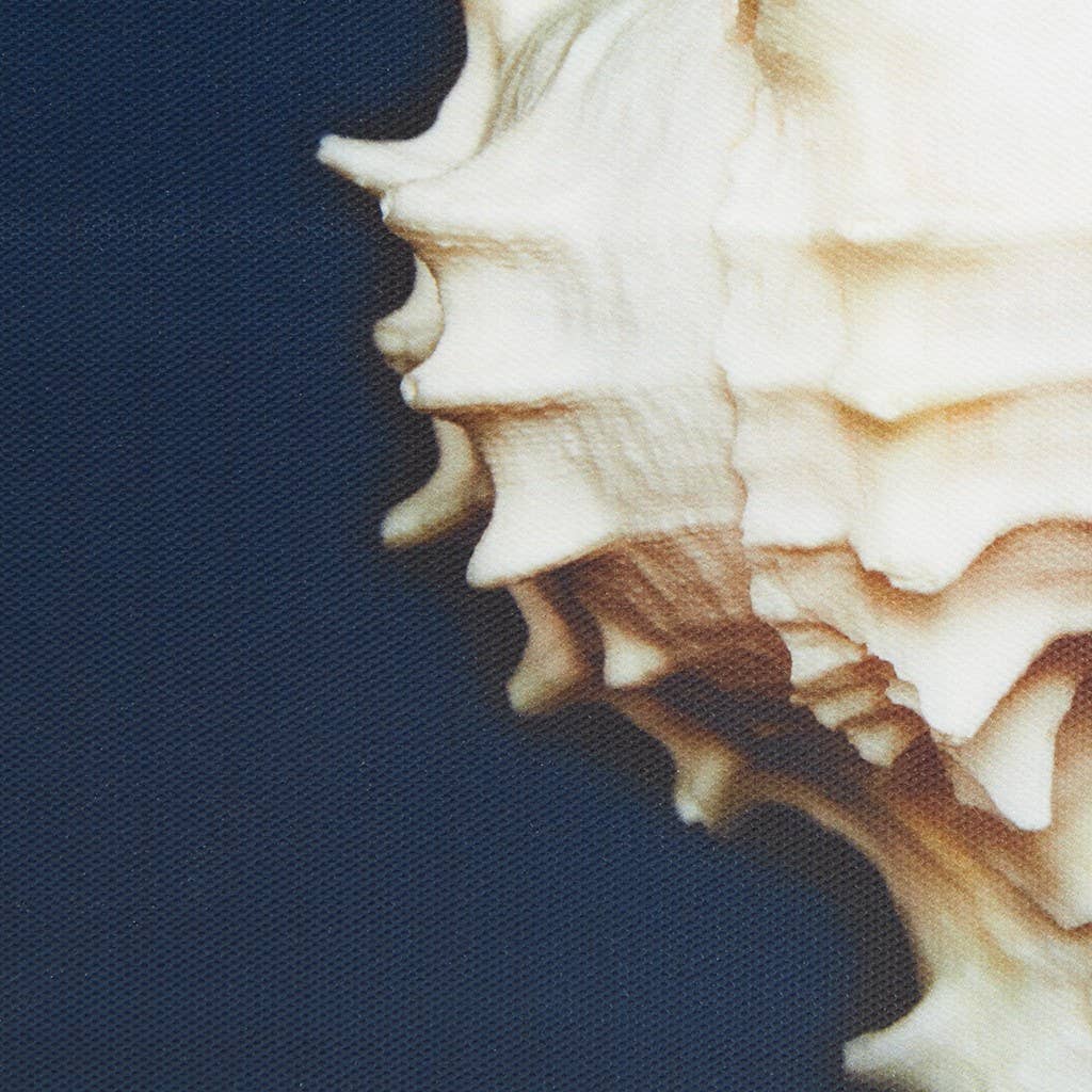 Olliix - Wholesale Gallery Wall Set - Coastal Seashells 4-Piece Framed Canvas Wall Art3