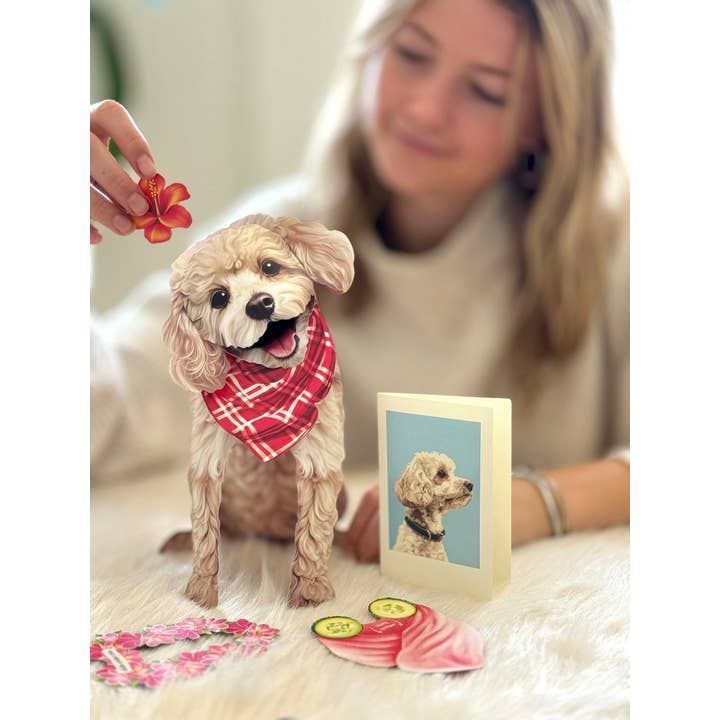 FreshCut Paper LLC - Wholesale Everyday Greeting Card - Poodle (6 Pop-up Greeting Cards)
