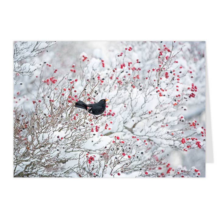 Midi-vikort "Vinterfågel" för wholesale av paruspaper. nutzfeine papeterie