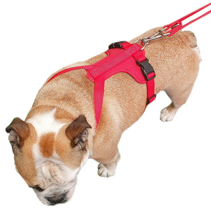 Miro & Makauri - Wholesale Pet Harness - Dog - Dog Training Harness - the Miro & Makauri 'Adventurer' Harness4