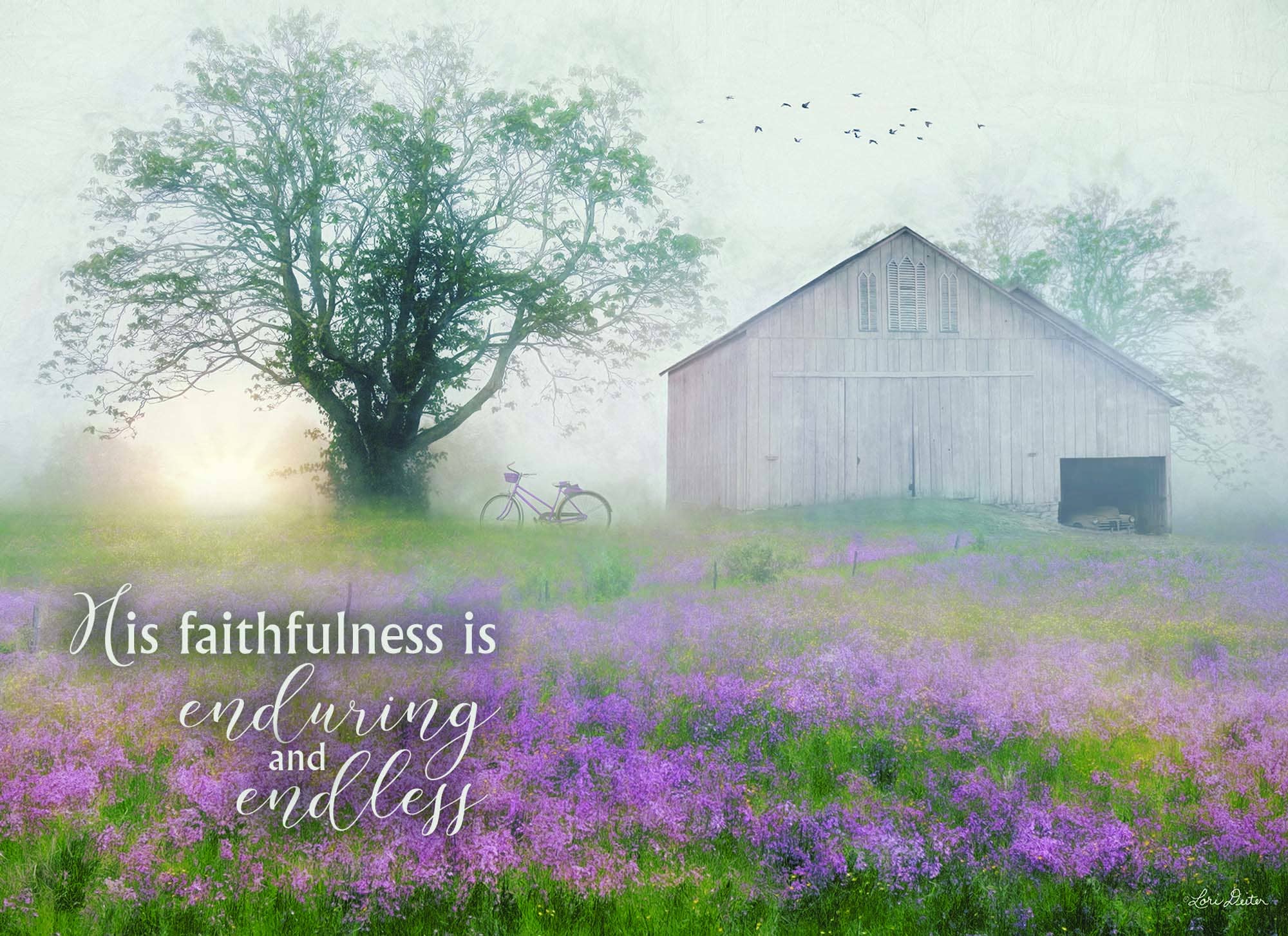 Crown Point Graphics - Vente Cartes d'anniversaire - Grand assortiment pour toutes les occasions - 24 cartes15