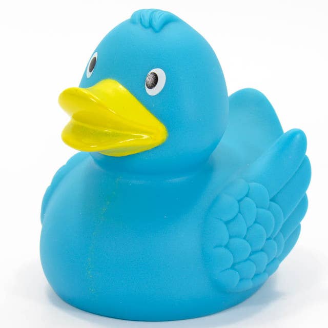 Ducks in the Window - Wholesale Bath Toy - Baby - Turquoise Rubber Duck