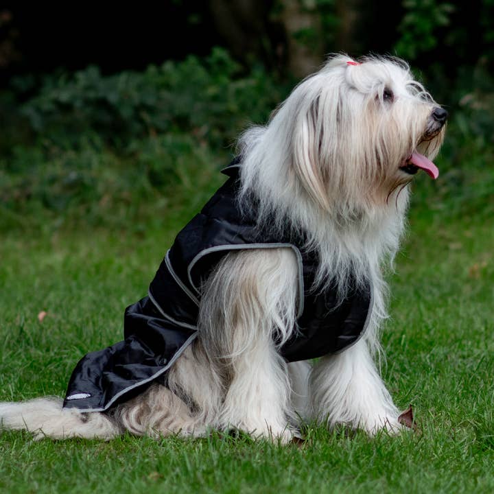 Ancol Pet Products Ltd – wholesale Pet coat – Dog – Stormguard All weather Coat : Black4