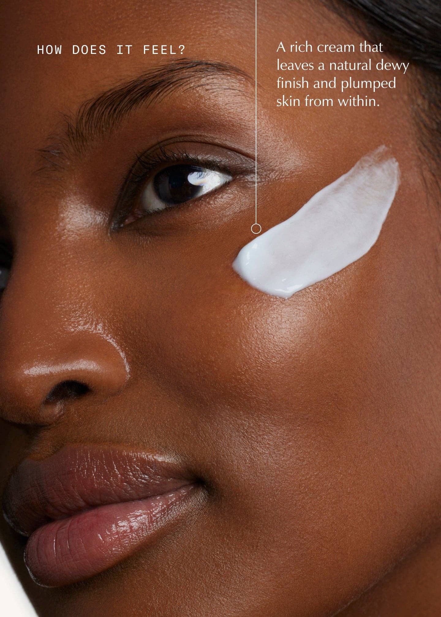 Sachi Skin – wholesale Facial moisturiser – Future Veil™ Firm & Repair Peptide Cream - 50ml2