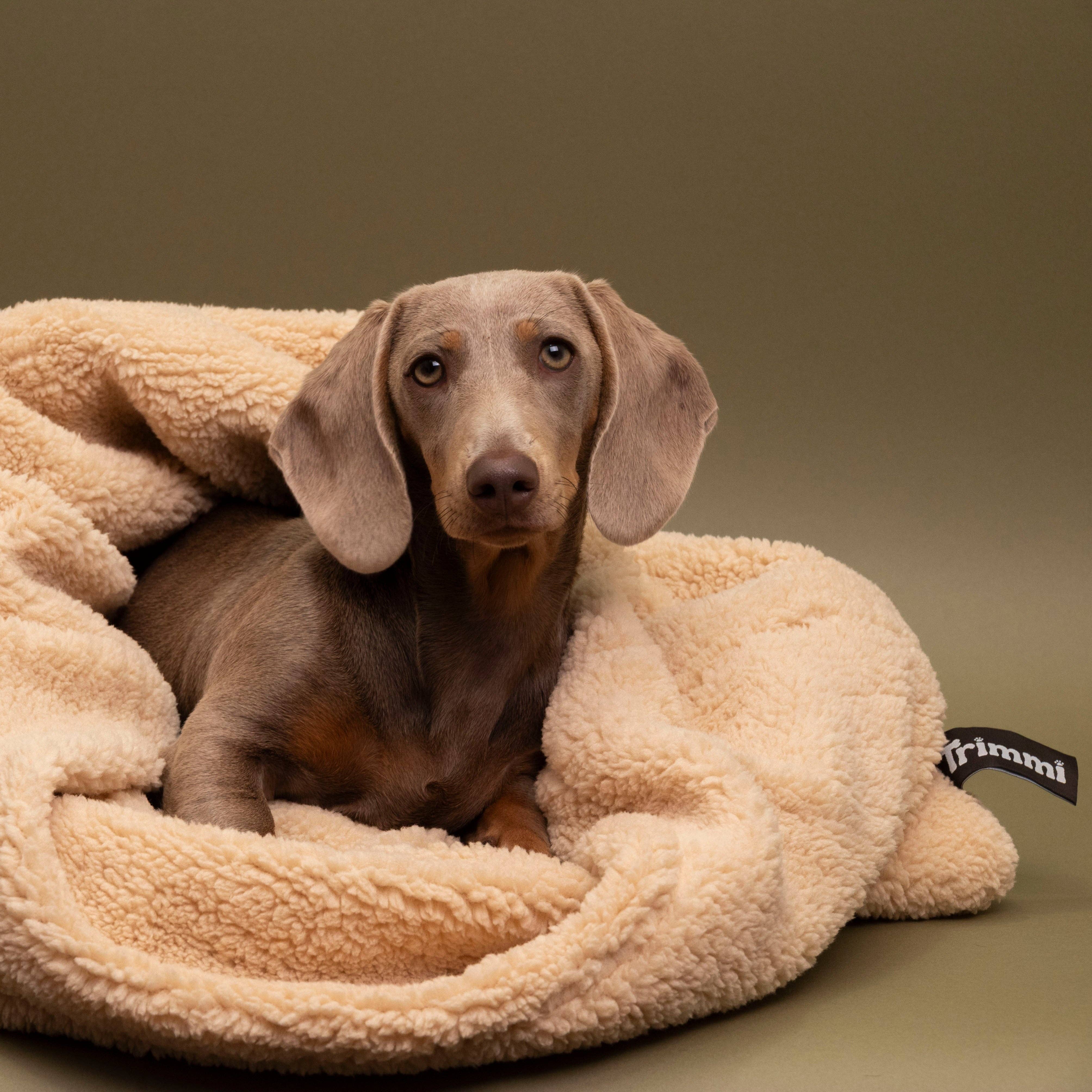 Trimmi – Engroshandel Seng - Hund – Teddy kram sovepose beige1