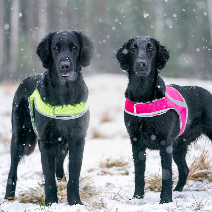 FINNERO - Wholesale Pet Vest - Dog - FINNERO ATTE Reflective Dog Attention Vest, 3 colors15