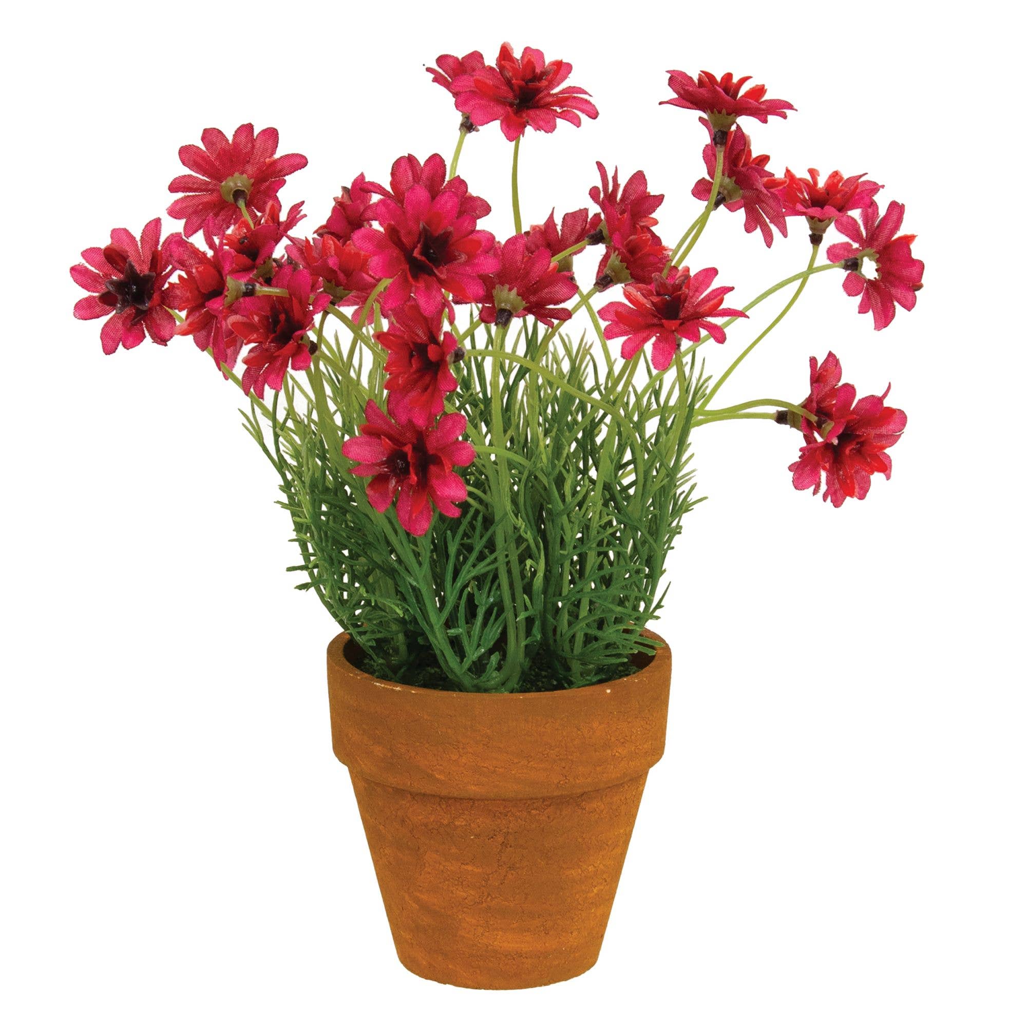 Saybrook Lane - Wholesale Artificial Flowers - Potted Star Daisy Pink0