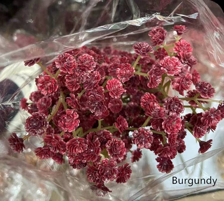 Sweet Home Deco - Wholesale Artificial Flowers -  24''T Soft Touch Realistic Babysbreath Stem in Autumn Color7