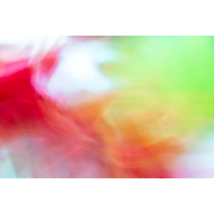 Tumbled Together Fine Art Print for wholesale by Christi Kraft Photography