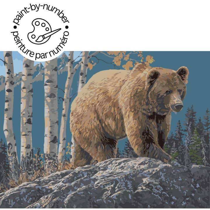 PAINT-BY-NUMBER KIT Aspen Mountain Grizzly by Jeff Hoff for wholesale by Diamond Brands
