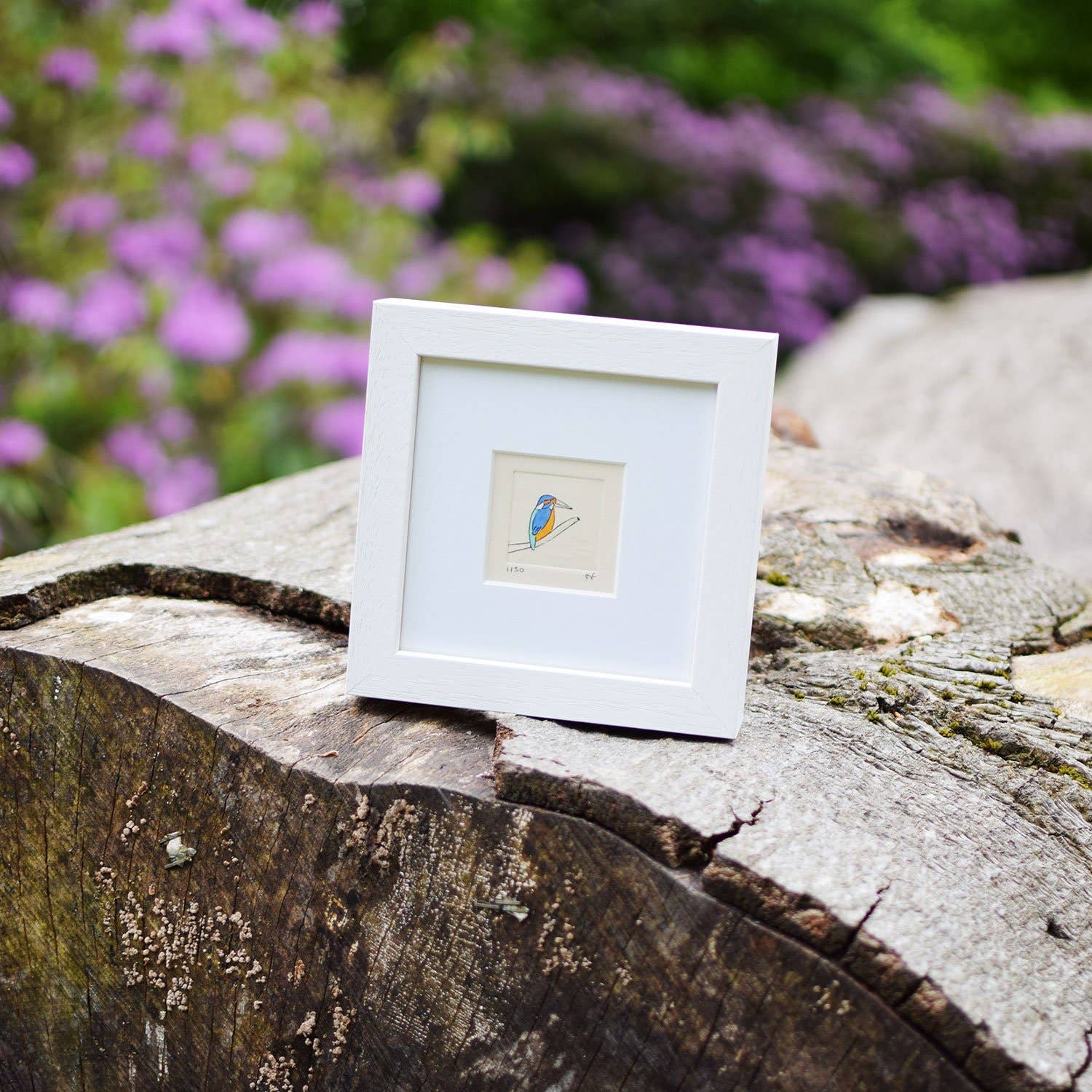 Sally J Fisher – Großhandel Kunstdruck – Kingfisher - Collagrammdruck in einem weißen Holzrahmen2