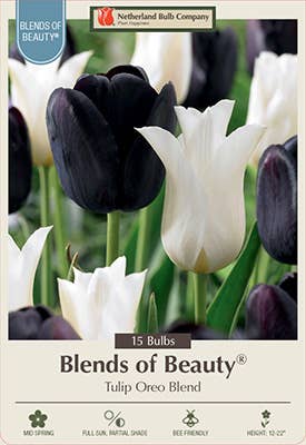 Thorsen's Greenhouse - Vente Plante - Bulbes de tulipes - Mélanges uniques - Vivaces5