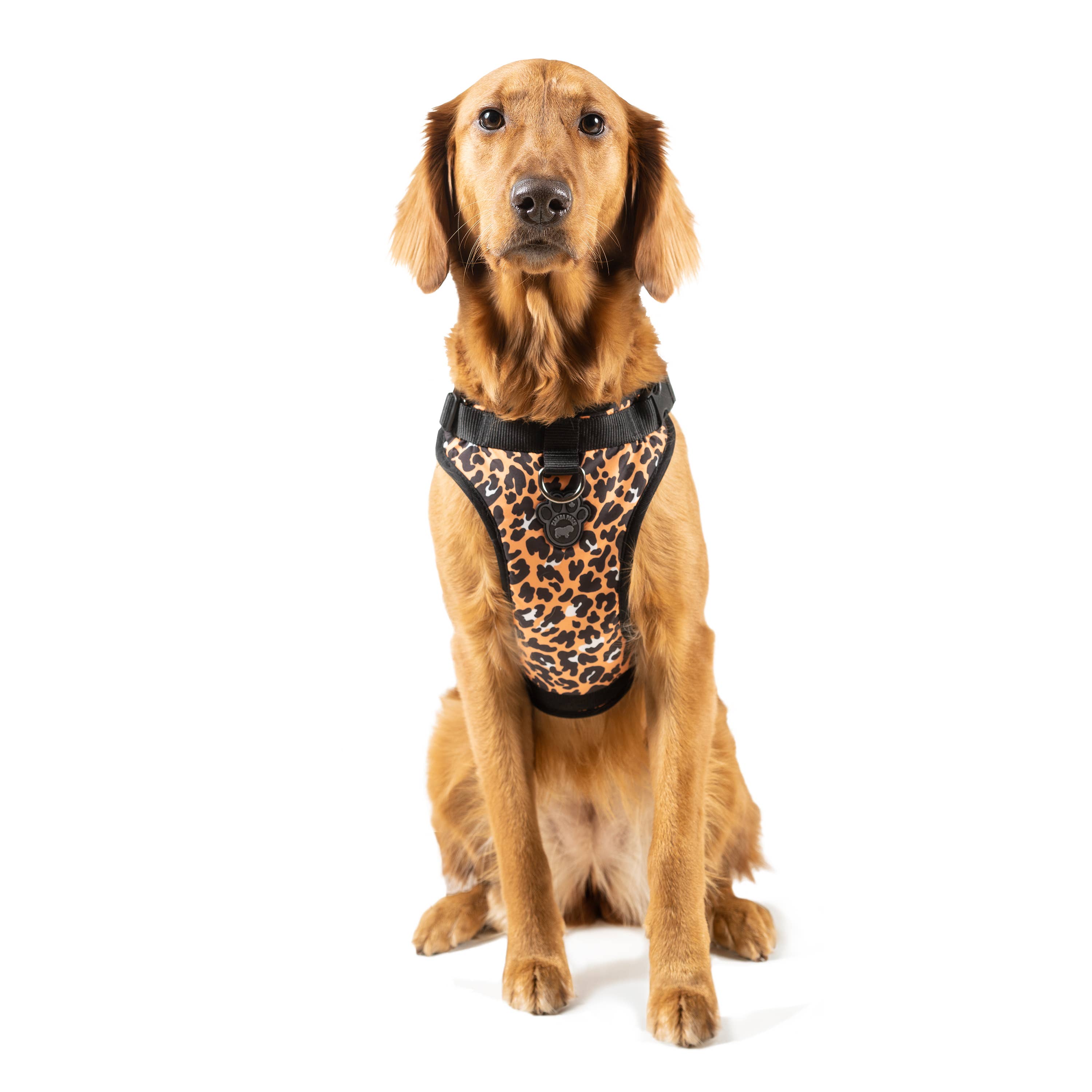 Canada Pooch – wholesale Pet harness – Dog – Everything Harness- No-Pull Dog Harness (Water Resistant)24