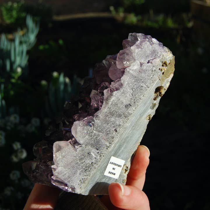 Caspar Curiosities - Wholesale Spiritual Stone/Crystal - 1.3lb Large Raw Amethyst Geode Quartz Crystal Cathedral Cluster, Self Standing, Uruguay4