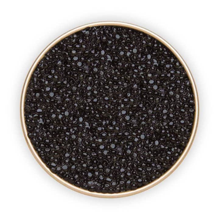 American Paddlefish for wholesale by Number One Caviar LLC