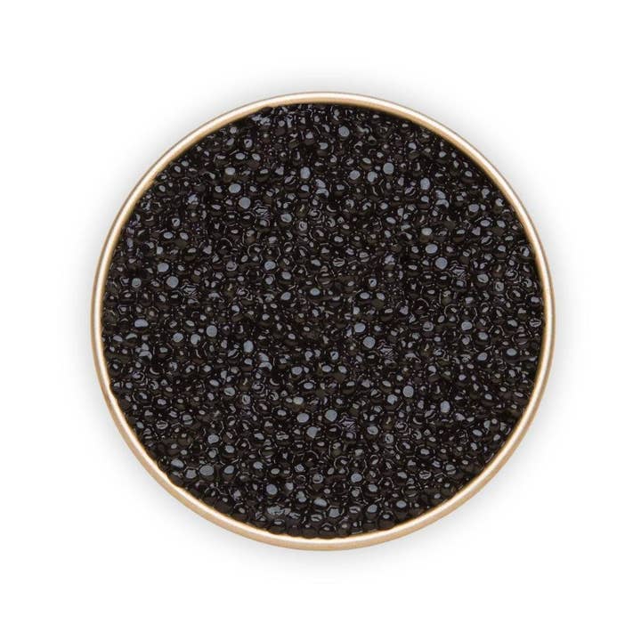 Polyodon spathula pour la vente par Number One Caviar LLC