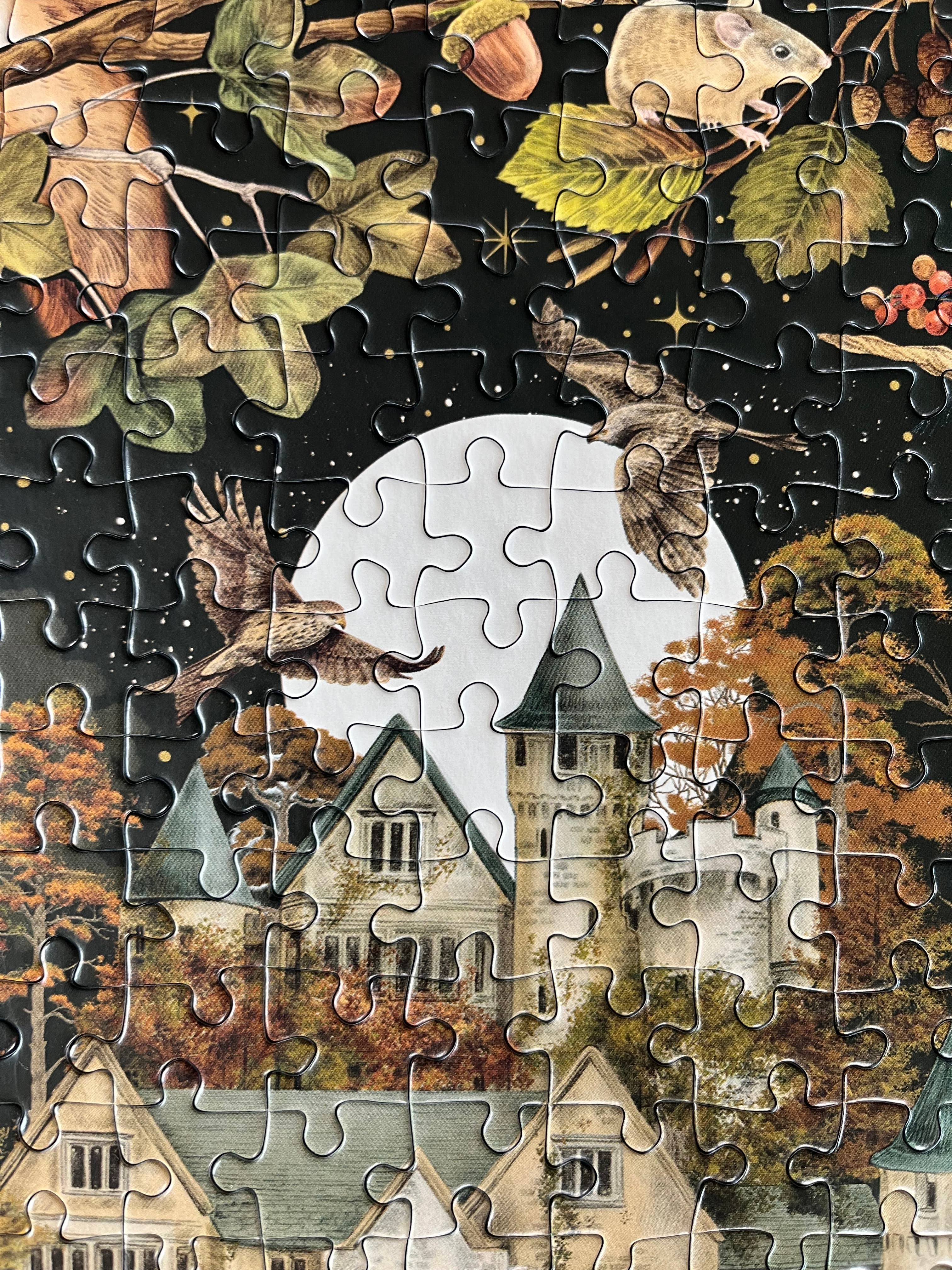 Gibsons Games Inc - Wholesale Puzzle - Adult - The Art File Autumn Equinox 1000 Piece Puzzle7