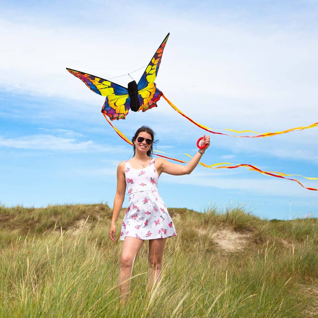 HQ Kites & Designs - Wholesale Kite - Butterfly Kite Swallowtail "L"3