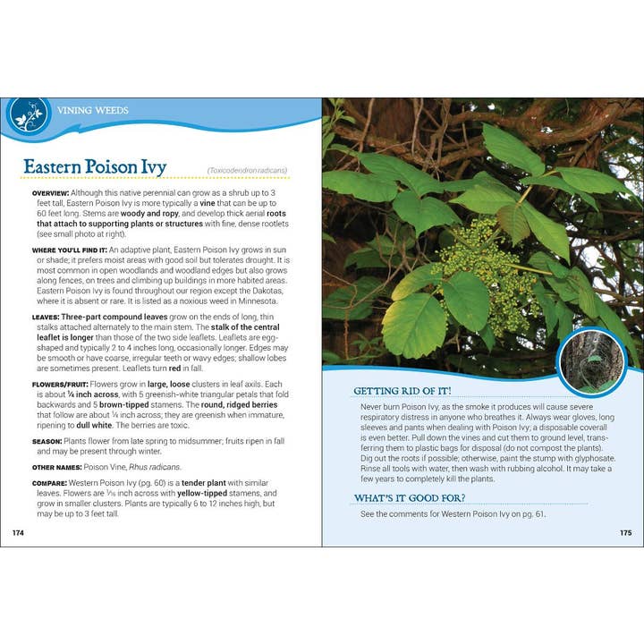 AdventureKEEN - Wholesale Book - Adult - Common Backyard Weeds of the Upper Midwest