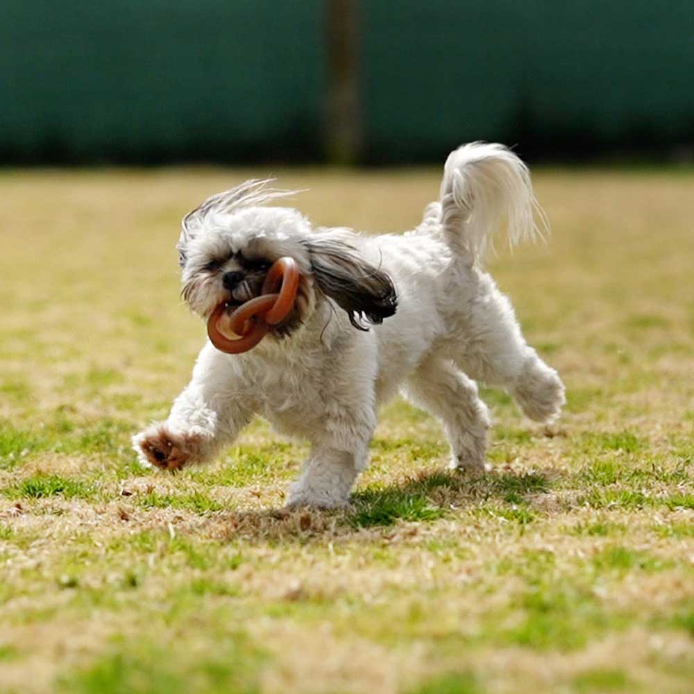 POCURULL SL (Retorn) - Wholesale Kauwspeeltje voor honden - Hond - Rub Chain honden speelgoed - M5