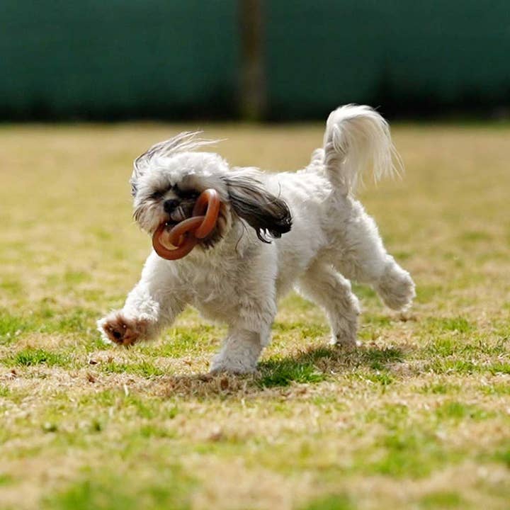 POCURULL SL (Retorn) - Wholesale Pet Chew Toy - Dog - Rub Chain Dog Toy - M5