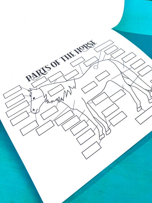 Circus Unicorn Shop - Wholesale Education Book - The Riding Student's Horse Workbook3