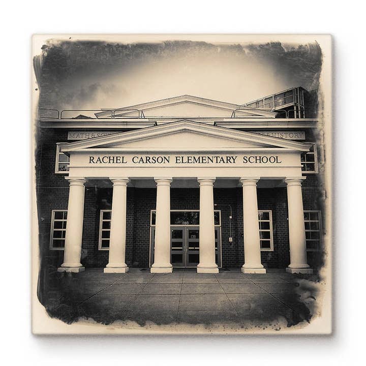 Rachel Carson Elementary School for wholesale by Cityscape Tiles