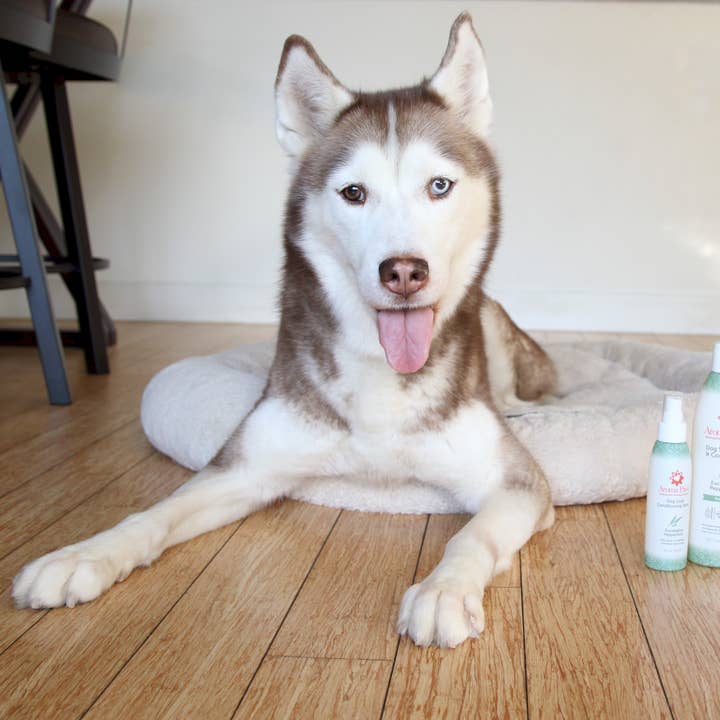 Aroma Paws – Großhandel Haustierspray – Hund – 4,5 Unzen Hundekitt Spray Eukalyptus Peppermint4