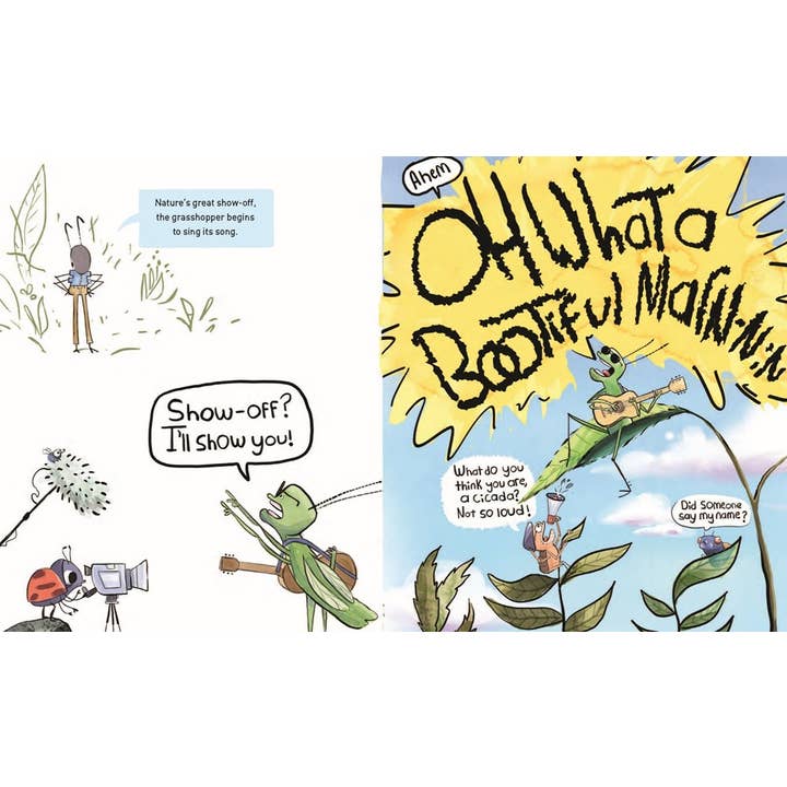 W. W. Norton - Wholesale Preschool Book (3-5) - In a Patch of Grass6