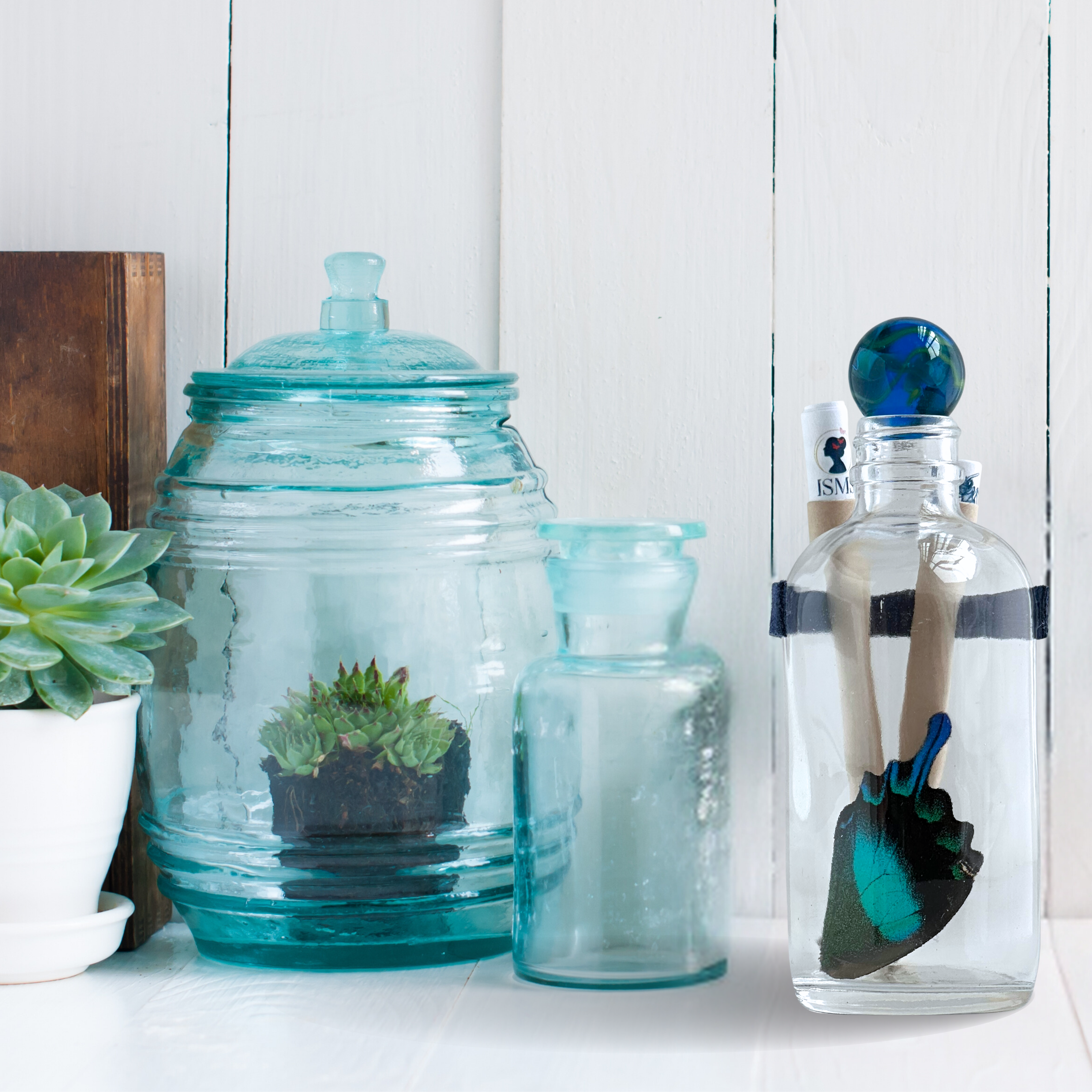 Isms - Wholesale Decorative Tabletop Object - Real Premium Butterfly Wing in Decorative Glass Bottle11