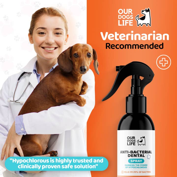 OurPetsLife – Spray – Cão por atacado – Spray Dentário para Cães6