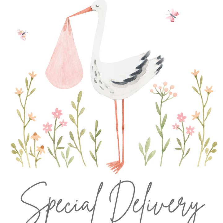 Old Soul Soap Company Inc - Wholesale New Mom Gift Box/Set - Special Delivery Box