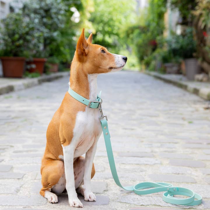 Ploouf Dogs - Wholesale Pet Leash - Dog - Lagoon green “soft touch” leash2