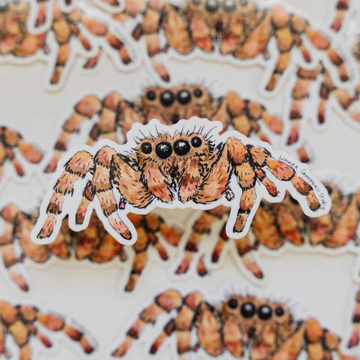 Jumping Spider Sticker for wholesale by Linnea Campbell Studio