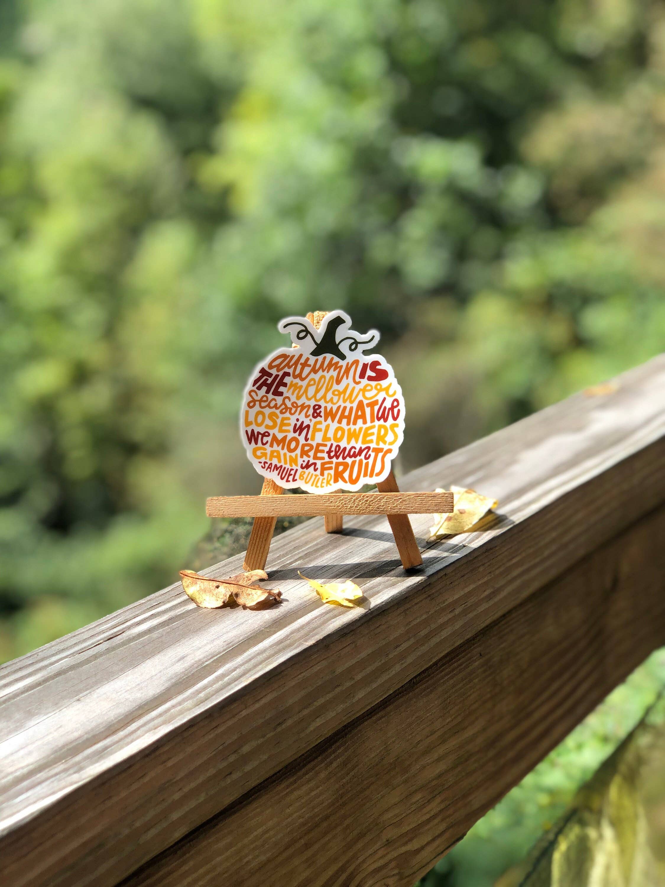 Wander On Words - Wholesale Sticker - Hand-Lettered Mellower Season Pumpkin Sticker3