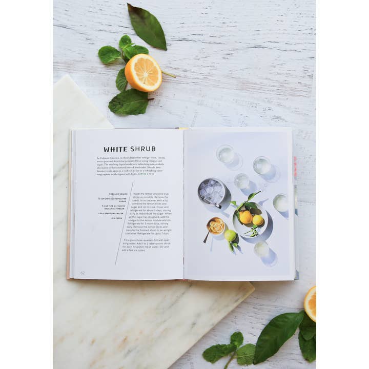 Chronicle Books - Wholesale Mixology & Beverage - Lemonade with Zest5