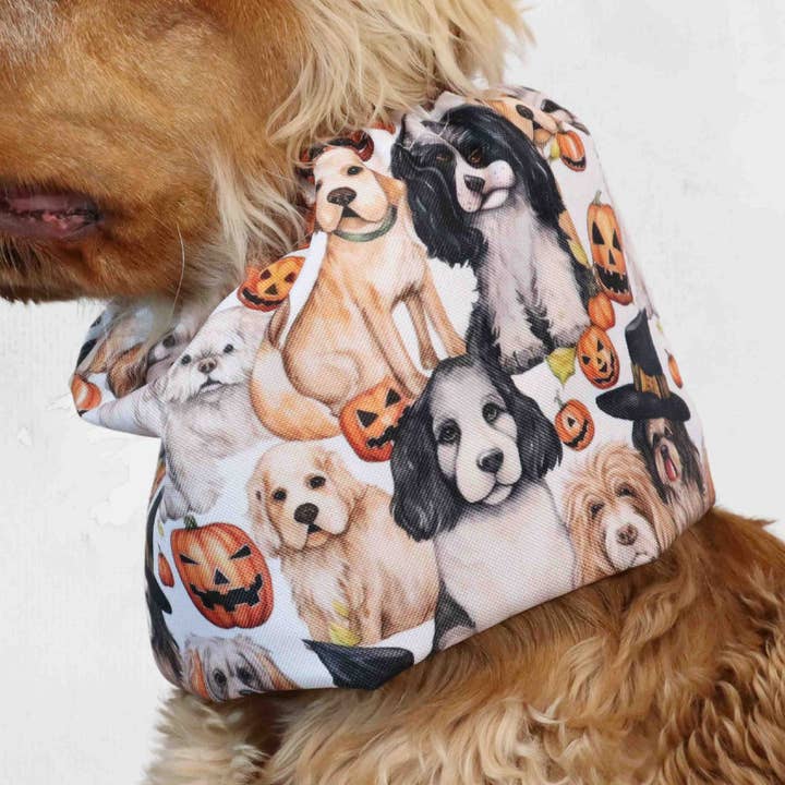 Snood pour chien imperméable | Effrayant pour la vente par Distinguish Me