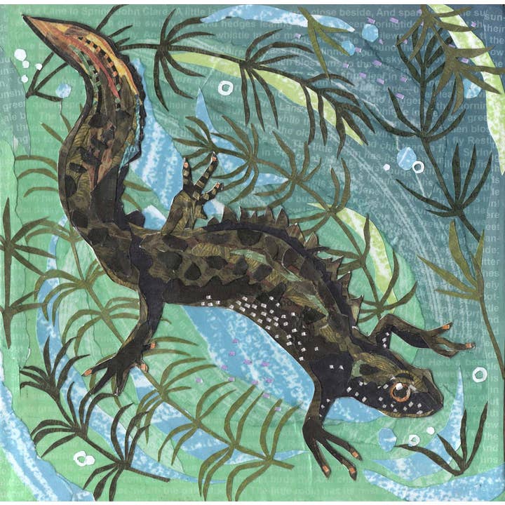 Newt Swaying and Murmurs Art Print,30x30cm for wholesale by Jamie Poole