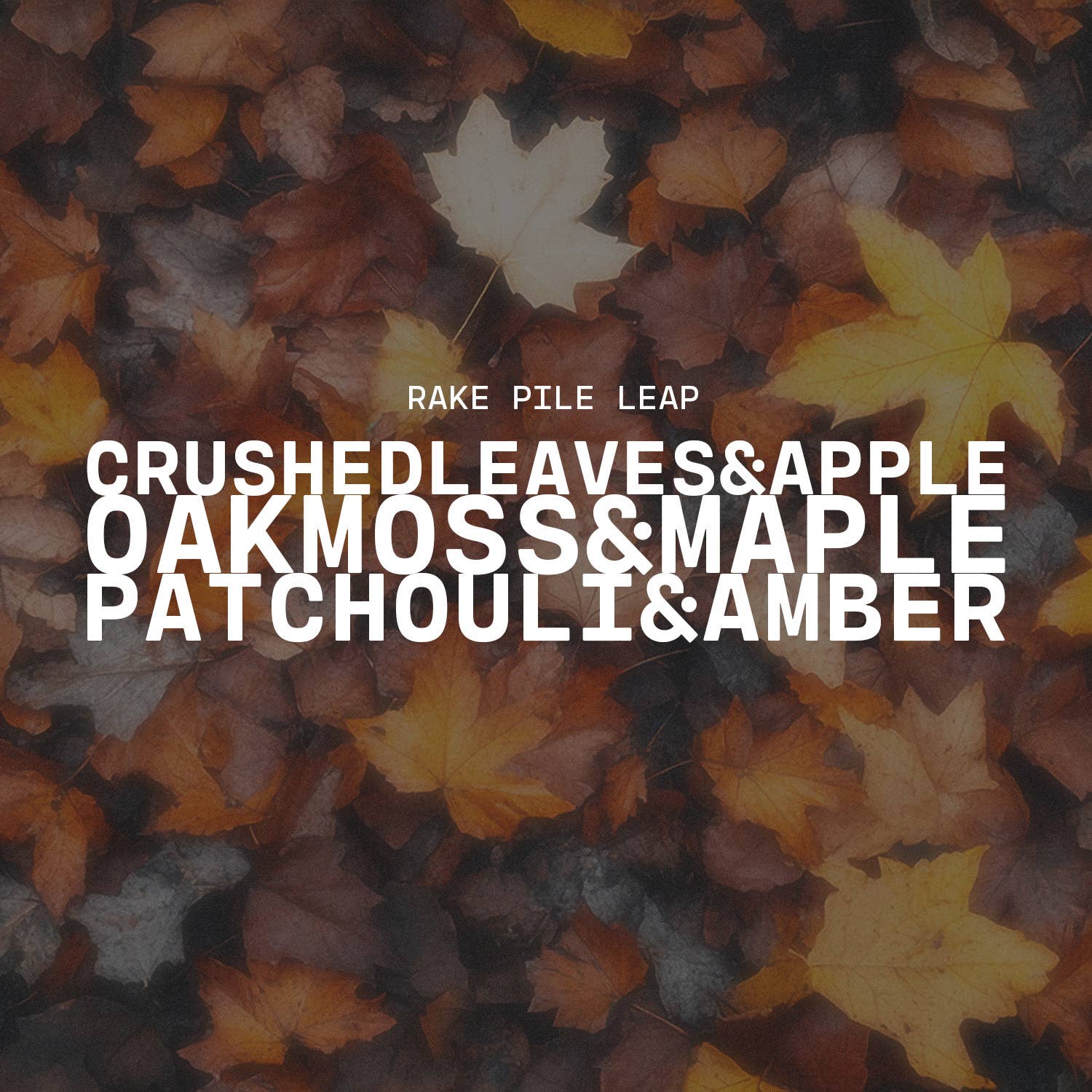 Milkhouse Candle Company - Wholesale Jar/Filled Candle - 14 oz Milkbottle Candle: Rake, Pile, Leap!3