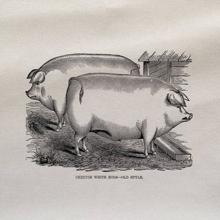 Panneau En Tissu Imprimé Vintage Pig Illustration pour la vente par Hills Of Fabric