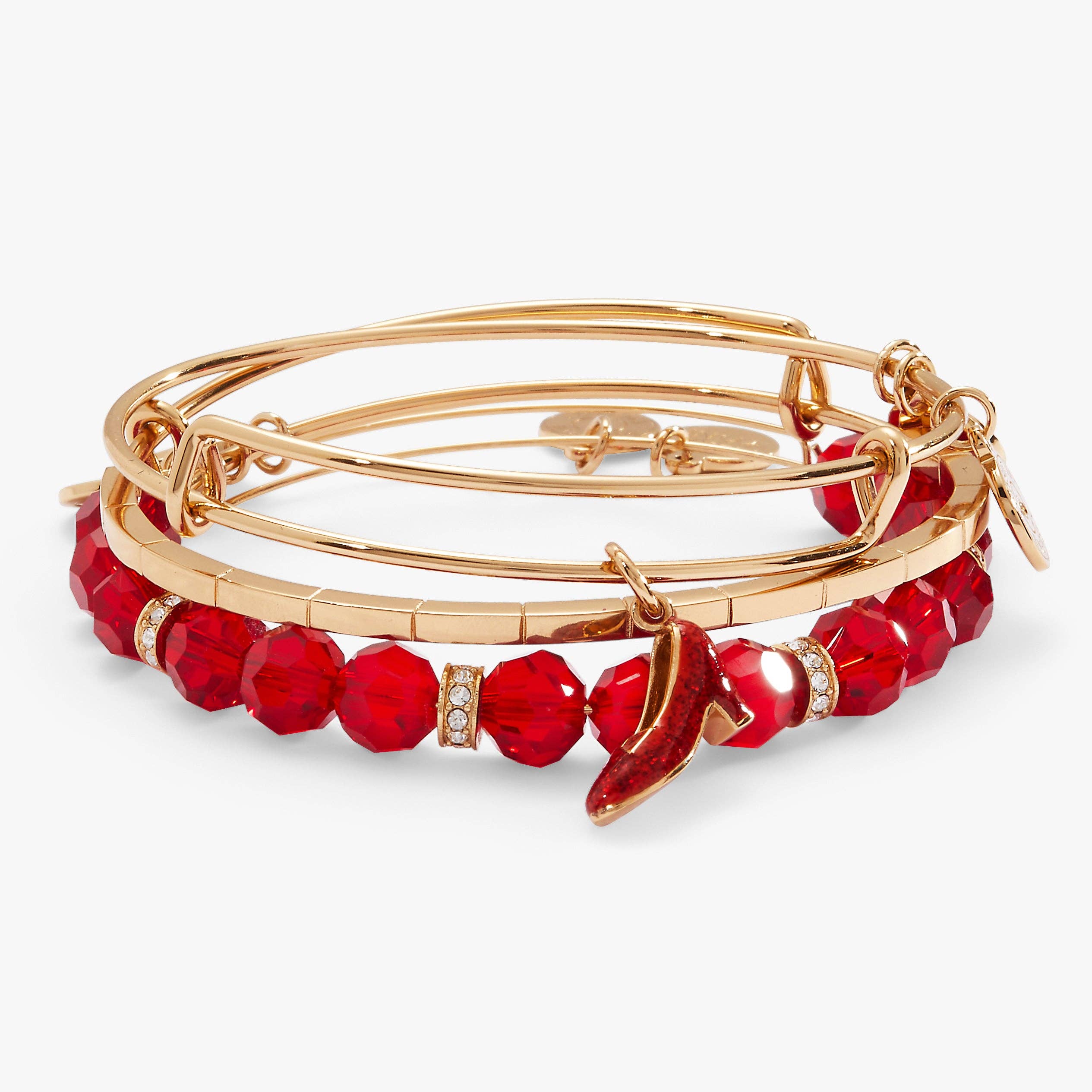 Alex and Ani - Wholesale Jewelry Set - The Wizard of Oz™ Dorothy Bangles Set of 30