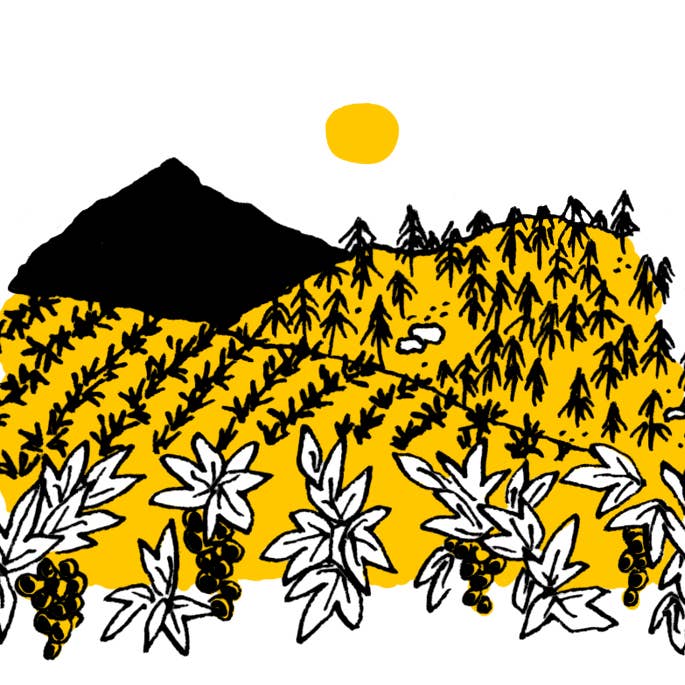 Wildsam Field Guides - Wholesale Travel - Napa & Sonoma Field Guide Book2