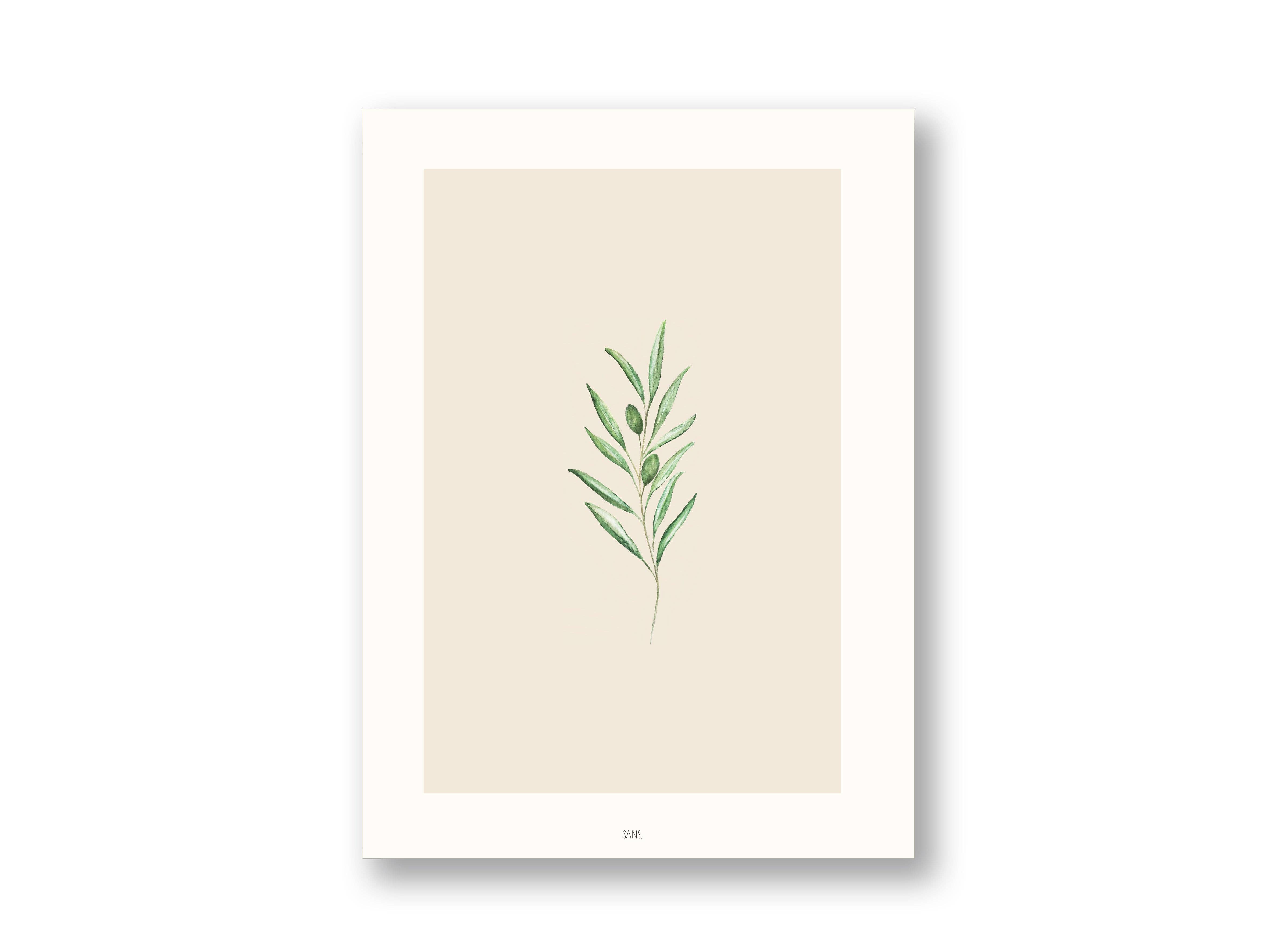 SANS.design - Wholesale Art Print - Olive | Art Print0